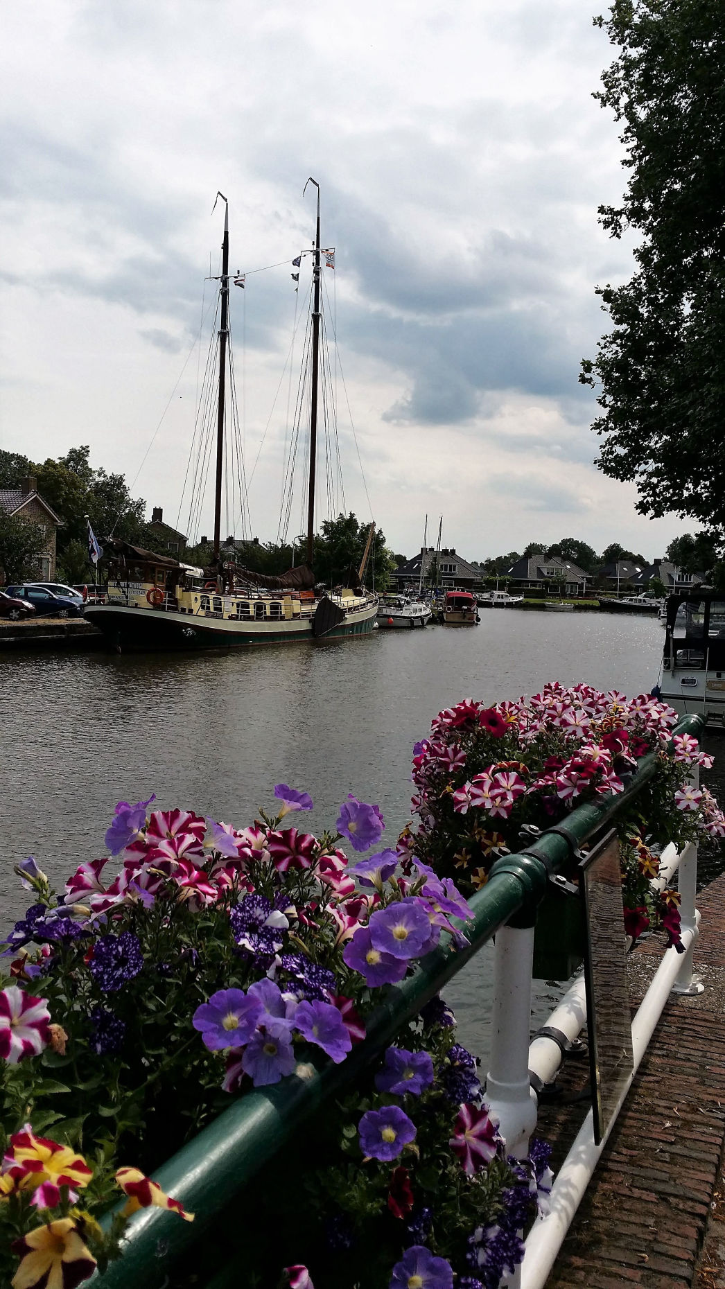 De Hoop in Dokkum